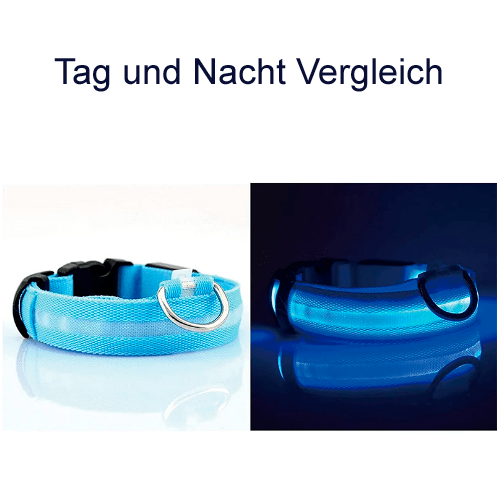 LED Halsband