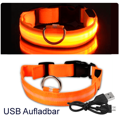 LED Halsband